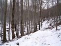 20110219 048